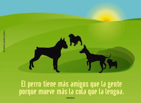 frases