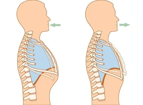 ¿Por qué da hipo?