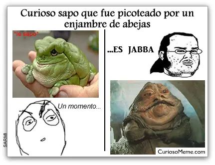 memes