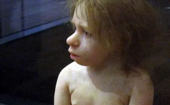El destete de los bebés neandertal