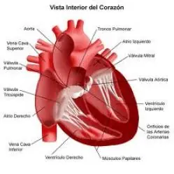 parte 1