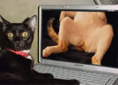 Una perspectiva real de la Pornografia