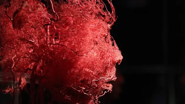 Diseñan micropartículas que permiten al hombre vivir sin r