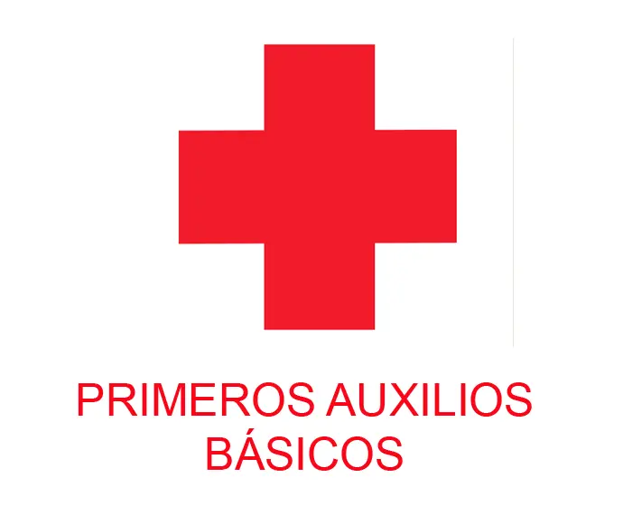 Aprende esto puede salvar una vida