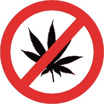 La Mariguana es lo peor ¬¬
