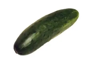 Niño canta "La canción del Pepino" XD!