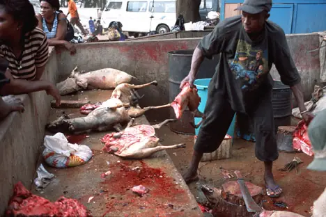 Piden regular la caza en África