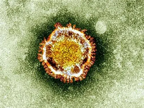 Alerta mundial por el nuevo virus mortal “coronavirus”