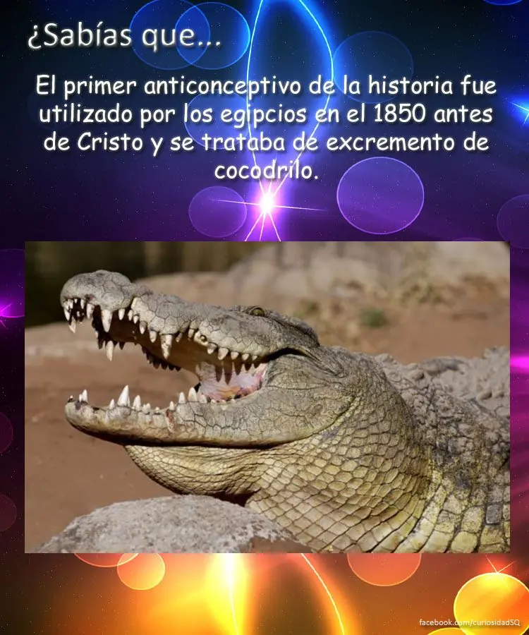 10 cosas que no sabias(datos curiosos) parte 9