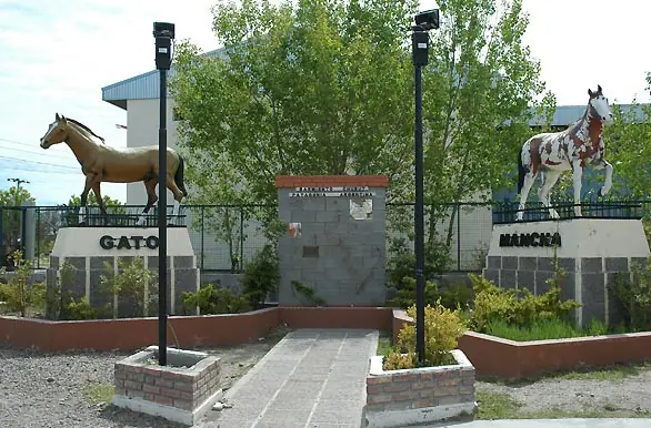 De Buenos Aires a New York - Historia de Caballos