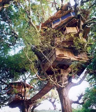 Hoteles Extraños - Hotel Treehouse Resort and Beach Club