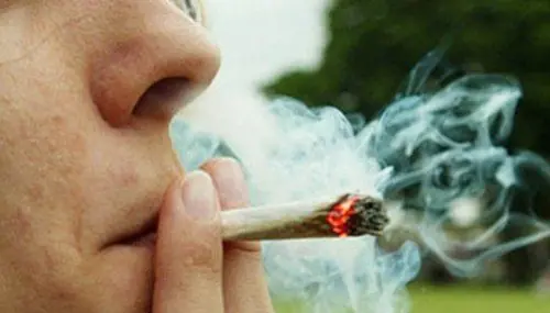 Marihuana : Especulaciones vs Hechos