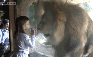 Gifs