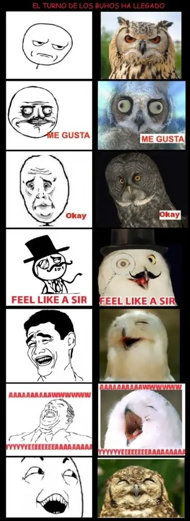 humor