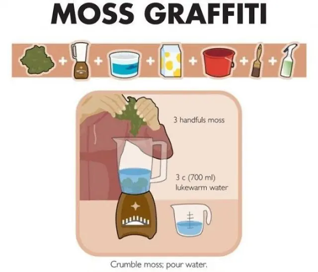 ¿Cómo hacer graffiti de musgo?