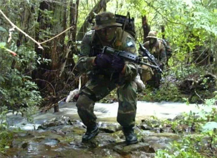 Megapost, Fusil FN FAL (Pasado, Presente, Futuro)