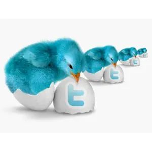 Como Conseguir Seguidores en Twitter