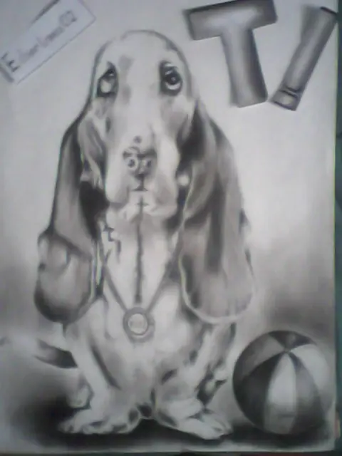Mi Dibujo a Lapiz Carbon [ Mi Mejor Amigo es Mi perro]
