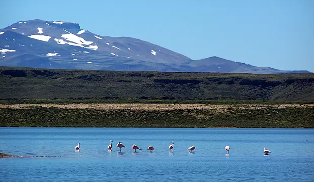 larga