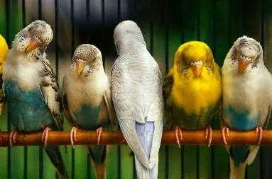 ¿Qué es ser normal y qué es ser diferente?