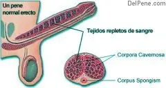 ejercicios