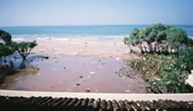 Experiencia personal sobre el Tsunami de Sri Lanka