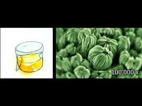 Los celulares del futuro....Nokia...