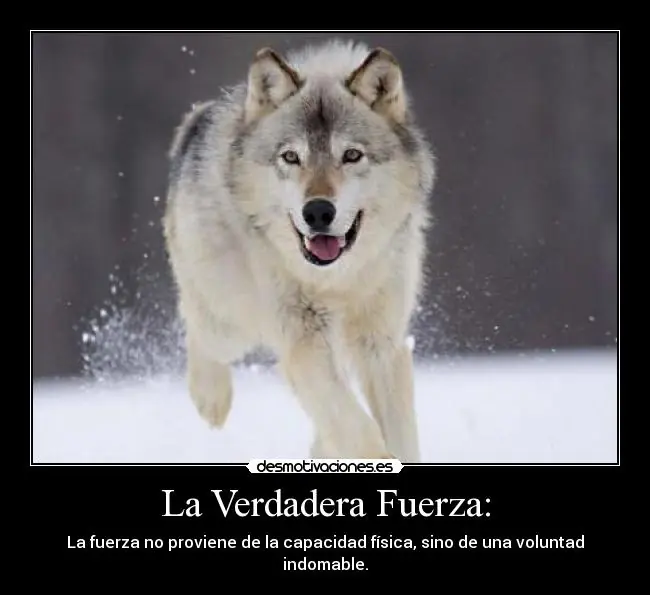 Desarrolla tu fuerza de voluntad