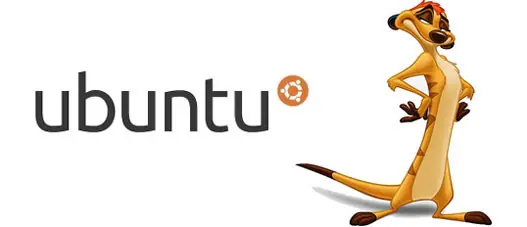 Disponible Ubuntu 10.10 Maverick Meerkat beta