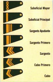 argentino