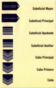 Ejercito Argentino