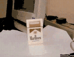 Gifs