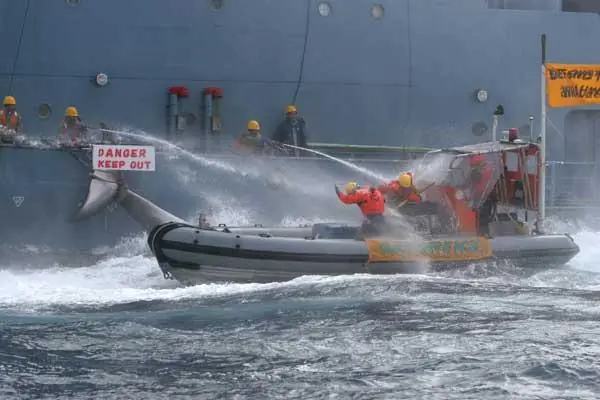 No a la caza de ballenas