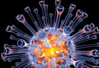 La comunidad cientifica enciende las alarmas por virus H5N1
