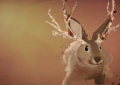 Ubuntu 9.04 Jaunty Jackalope