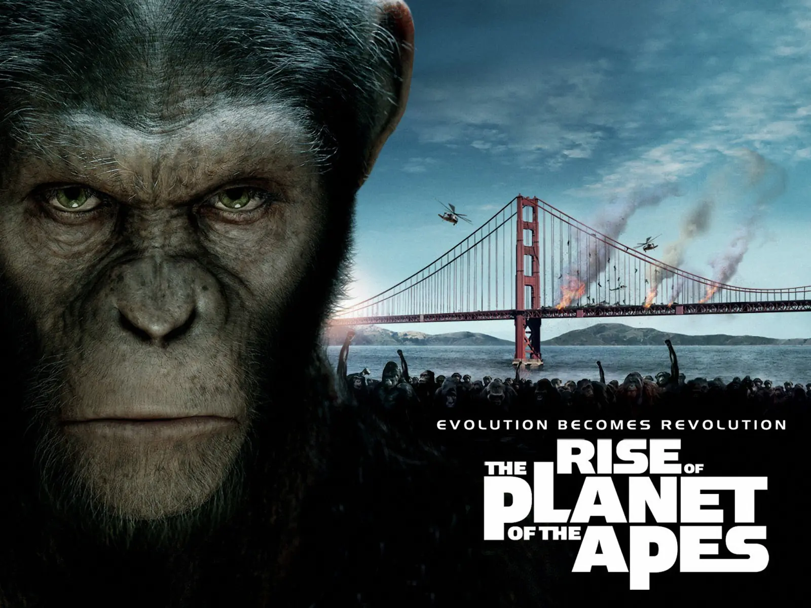 Dawn of the Planet of the Apes (2014)
