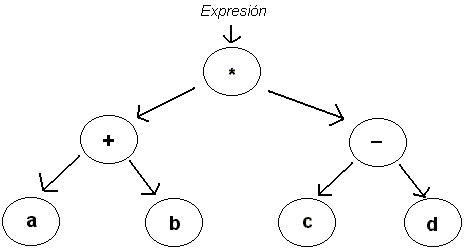 Arboles, tipos y sus propiedades (Matematicas)