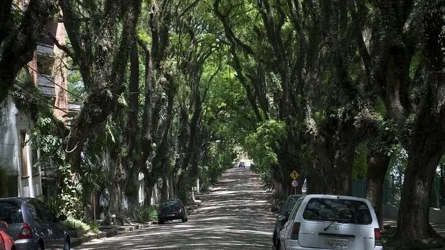 del mundo