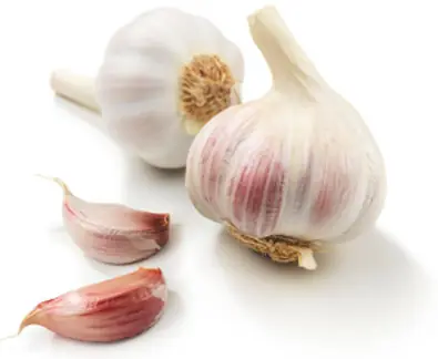 alimentos