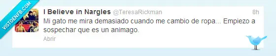 visto