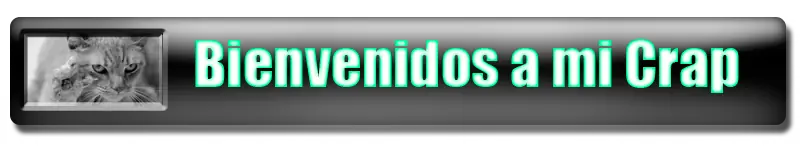 Robotech: Las Maquinas (Mega Post - Curiosidades)