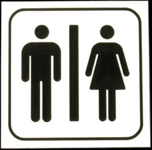 El sexo humano en cifras