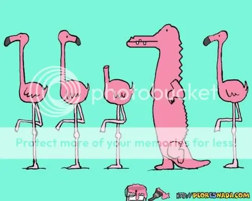 imagenes humoristicas