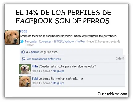 cosas que no sabias