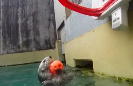 si no te gusta llorar no entres . historia de superacion