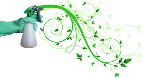 12 Desinfectantes naturales para hacer en casa
