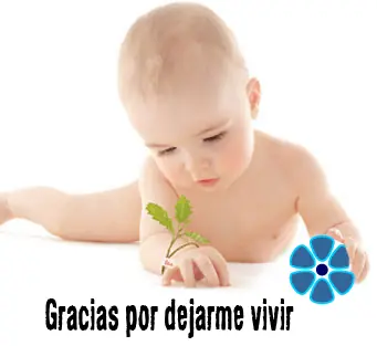 Hay que despenalizar el aborto? Infórmate