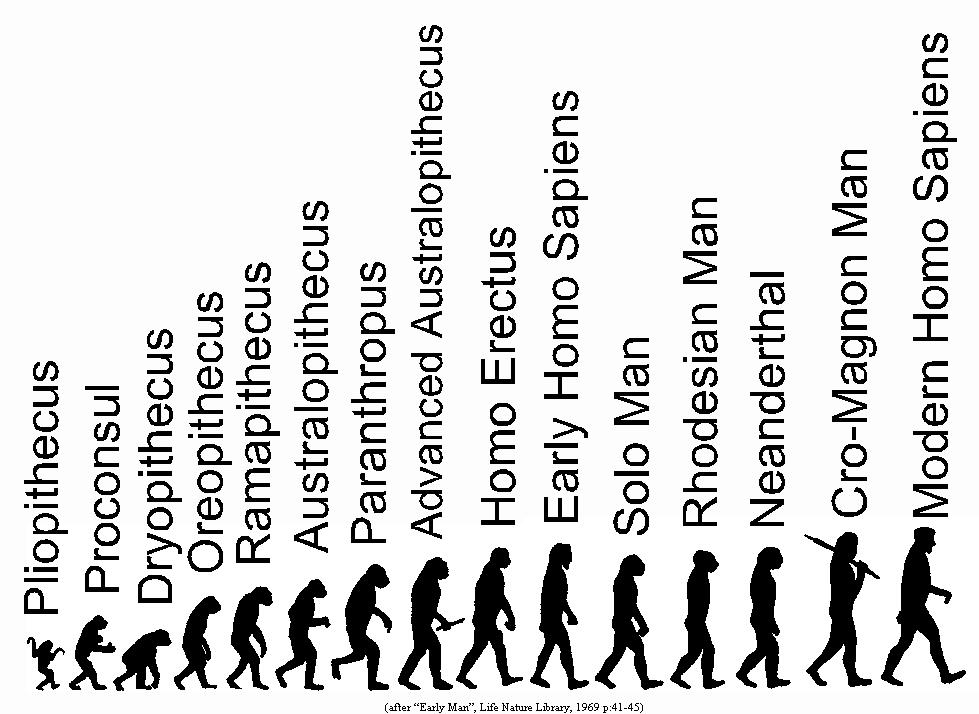 El origen del hombre