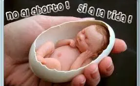 El Aborto, Información