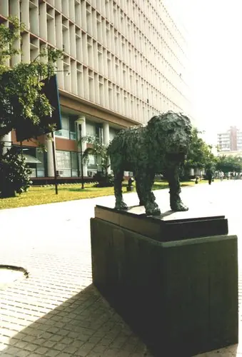Juntadas